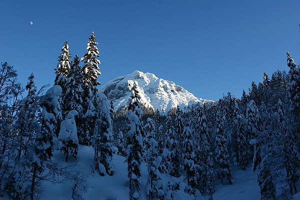 Winter am Weißbach