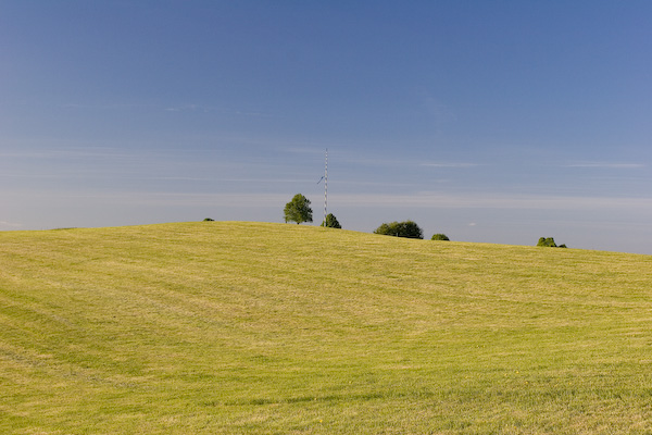 Maibaum
